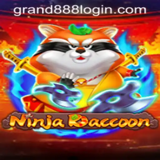 NinjaRaccoon: A Thrilling New Adventure Game